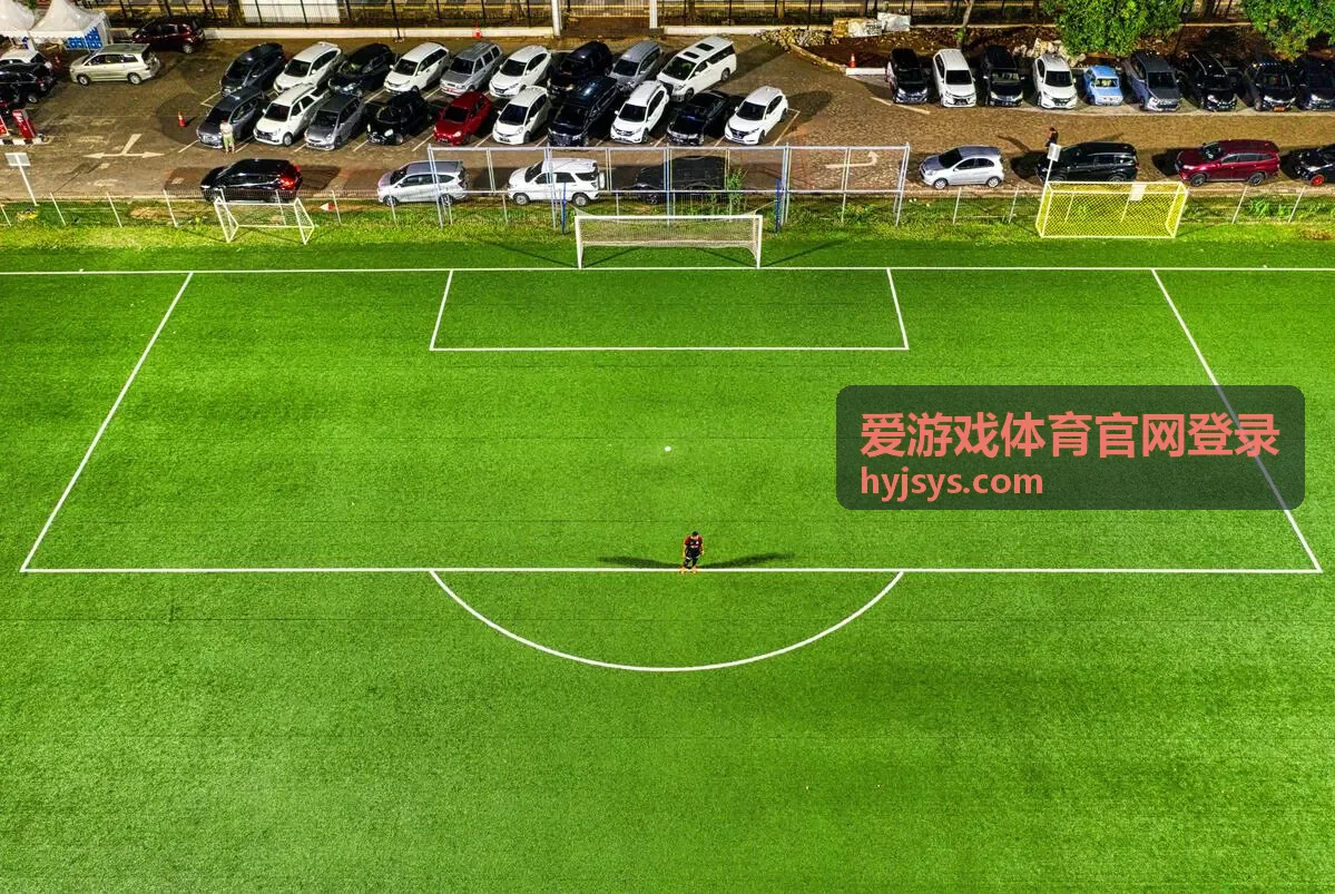 爱游戏体育账号密码找回与安全设置示意